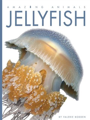 cover image of Jellyfish